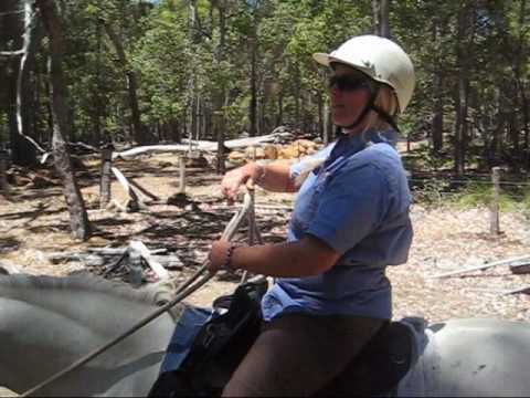 Larry Parsons & Nicole Horse Riding Dunsborough