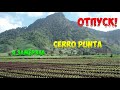 VLOG/МИНИ ОТПУСК/Я ЗАМЁРЗЛА/ШАЛЕ/ЦЕНЫ/РУМ ТУР/ЧИРИКИ/CERRO PUNTA/ПАНАМА