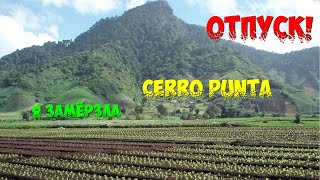 VLOG/МИНИ ОТПУСК/Я ЗАМЁРЗЛА/ШАЛЕ/ЦЕНЫ/РУМ ТУР/ЧИРИКИ/CERRO PUNTA/ПАНАМА