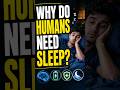 Why do Human need Sleep? 🤔😴 #sleep #humanbody #science #bodyfacts #sciencefacts #humans