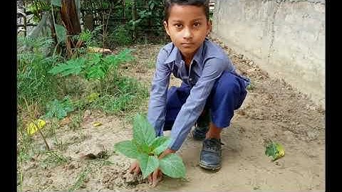 পানী।।water।। class -4।।EVS।। Chapter-3।।B.D.Saikia