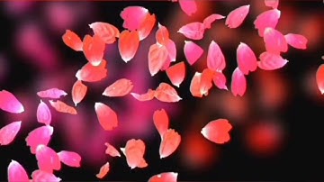 وَقُلْ رَّبِّ أَعُوذُ بِكَ مِنْ هَمَزَاتِ الشَّيَاطِينْ_من روائع القارئ إسلام صبحى.