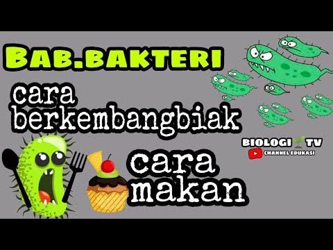 Reproduksi bakteri cara makan bakteri biologi Bab.bakteri kelas semester SMA