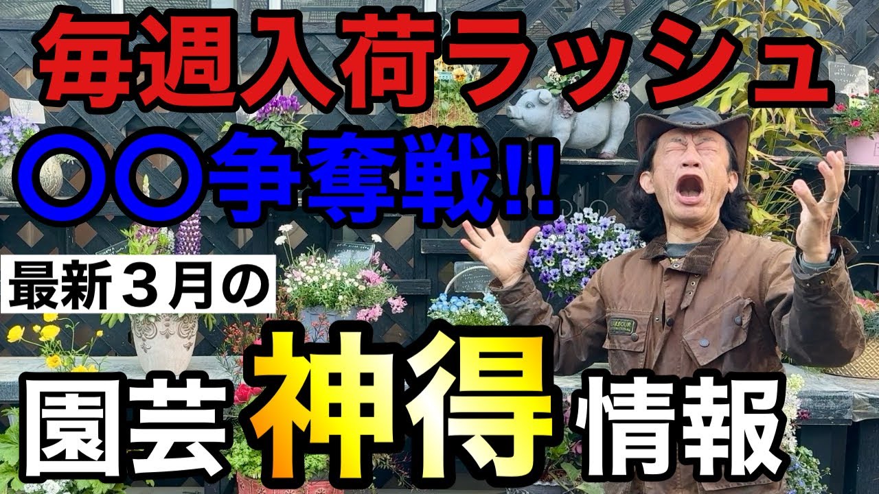 【３月の買いはここ！】お待たせしました　今月はあれもこれも入荷してきます