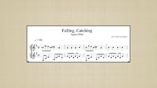 Agnes Obel - Falling, Catching (Guitar Duet)