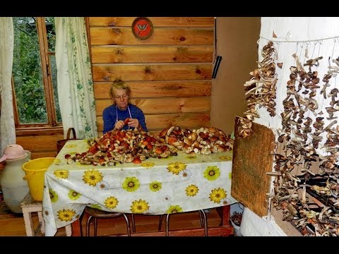 Икра грибная видео рецепты от бабки (Борисовны)