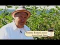 Ayers Creek Farm Organic Fruit Preserves