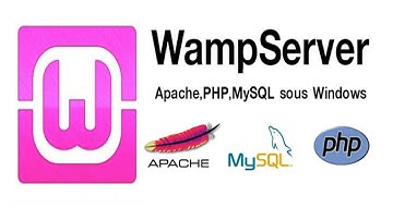 How to Use WampServer for Windows? How to host websites using wampserver? Beginner Guideline