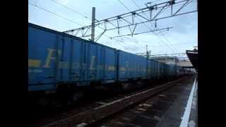 EF66 113号機[吹]代走牽引1050レ 富士駅通過