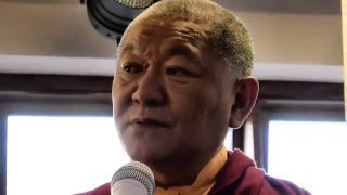 RINGU TULKU - Dealing with emotions.