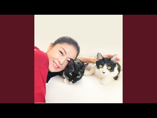 想い出づくりNEW!藤あや子