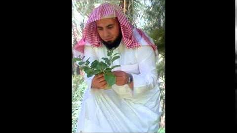 القارئ  حسن صلاح بعلول سورة مريم تراويح 23 رمضان 1435