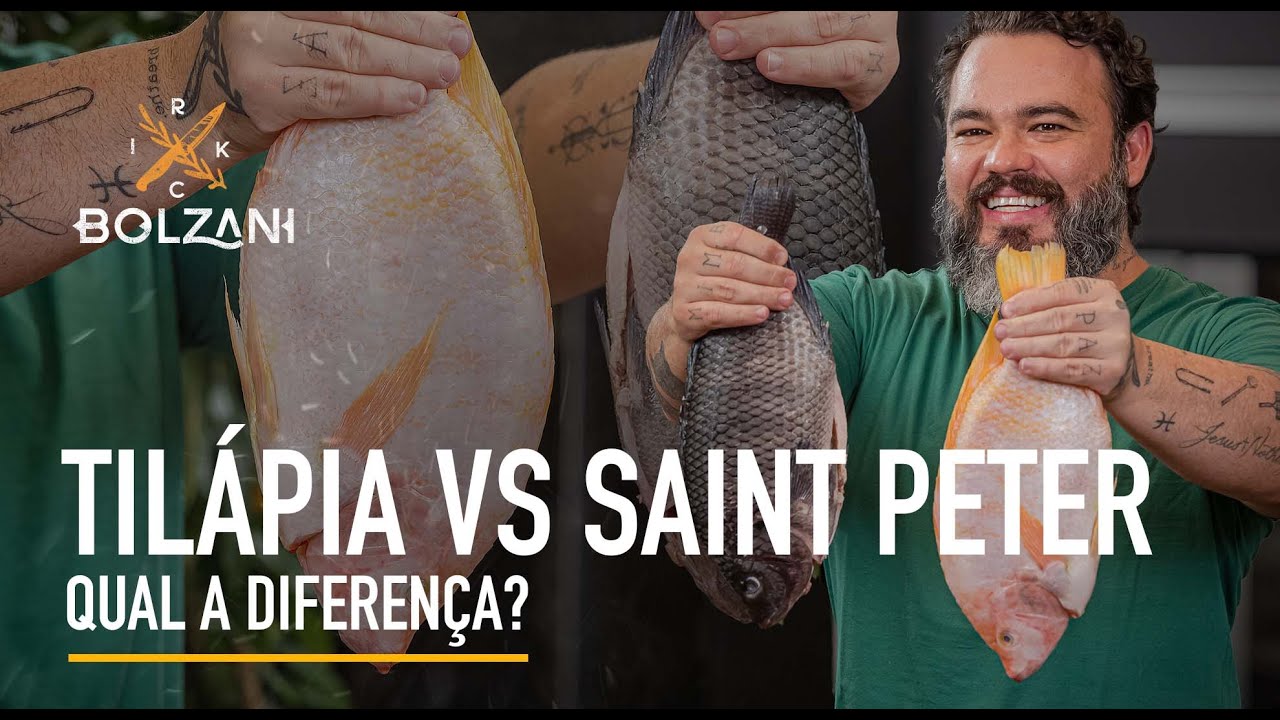 Tilápia vs Saint Peter Qual a Diferença? YouTube