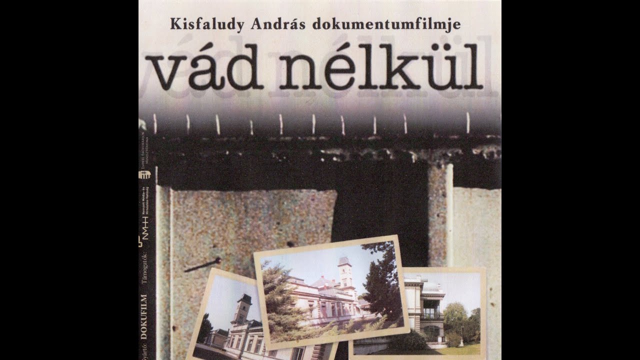 Kisfaludy András (2019): Vád nélkül