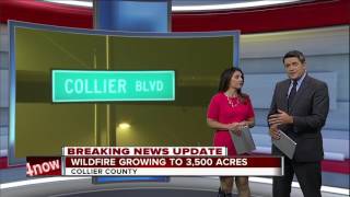 Fires and heavy smoke spread near Naples