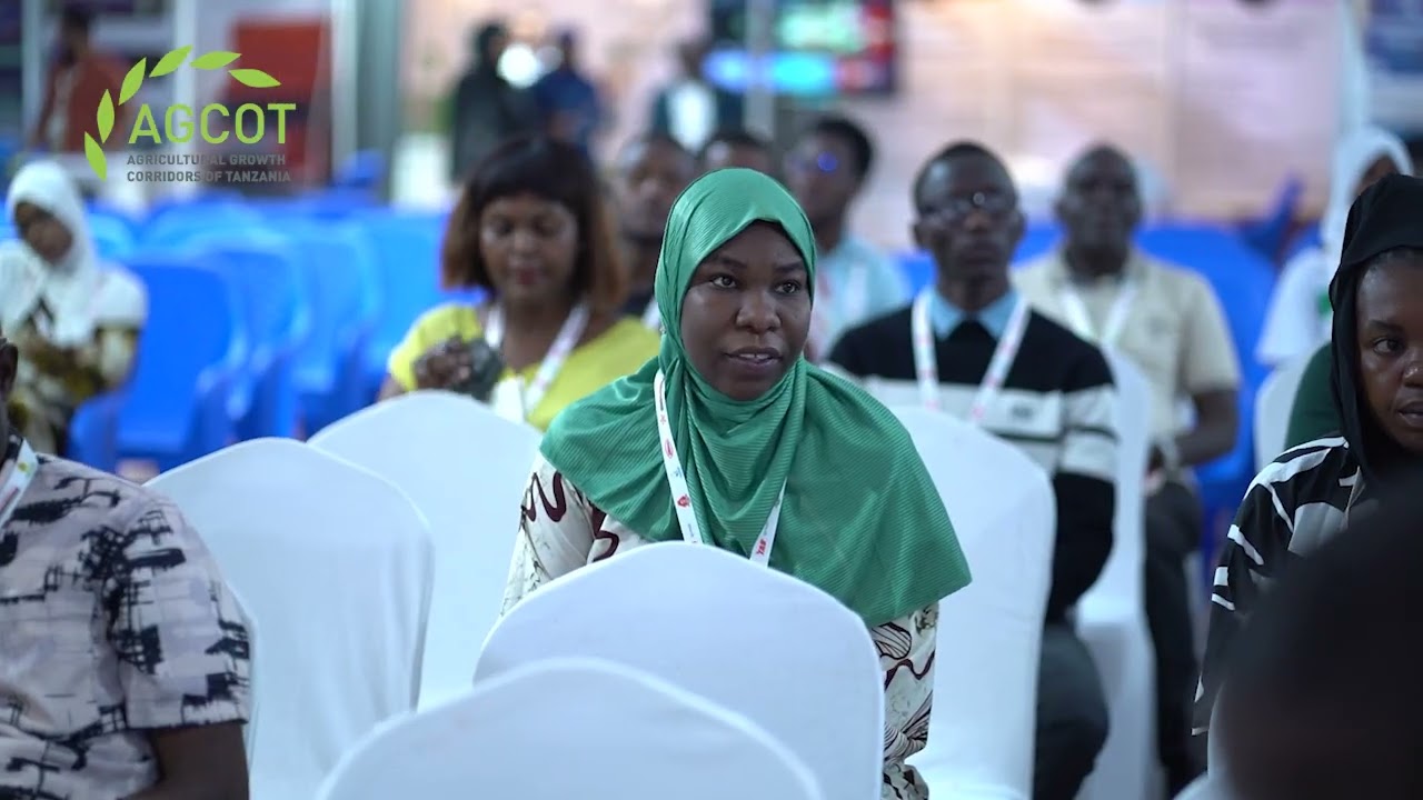 Tullah Mloge: Why Tanzania's Poultry Future Depends on What Farmers Grow, Not Just What They Rear