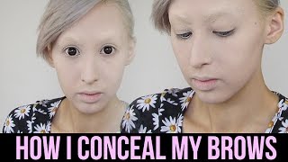How I Conceal My Dark And Unruly Eyebrows Courtney Little