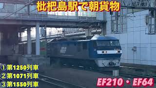 基本同一列車の1250レと1550レを含む、貨物列車3本編集。