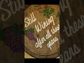 Laurita Winery - "A New Jersey Gem" - #shorts #newjersey #winery