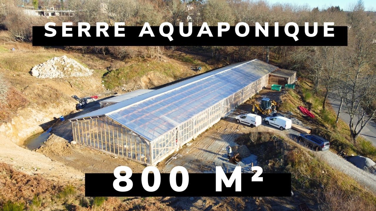 Ep 78.  Les Fruits, Les Légumes et Les Poissons Du Restaurant Directement Dans Le Parc Du Château