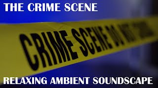 Relaxing Ambient Soundscape - The Crime Scene - Police Radio - Photography - City Ambience - Rain