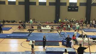 Carley Scott- Beam State 2019