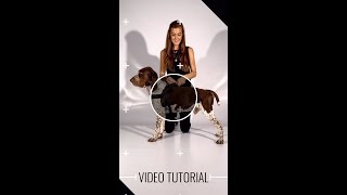 MORSO Tutorial NORWEGIAN HARNESS