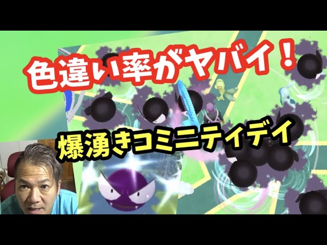 過去最高の色違い率 ゴースコミニティデイ ポケモンgo Youtube