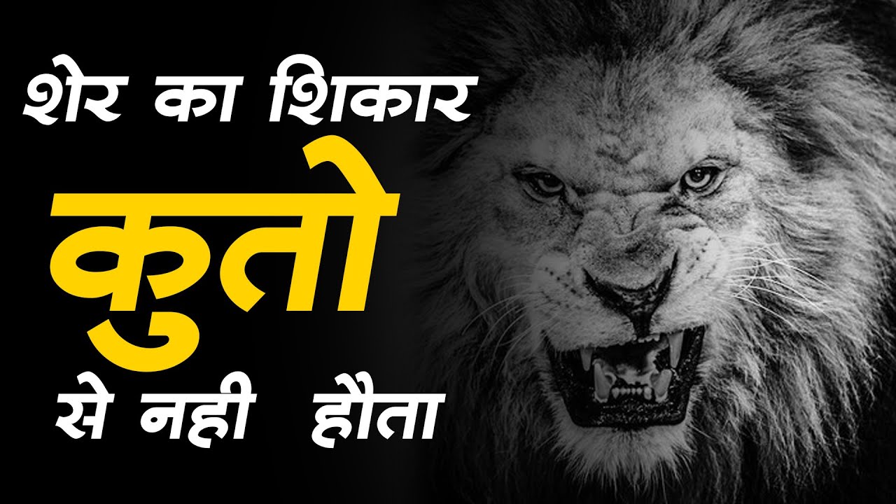 4.Sher Ka Shikaar Kutton Se Nahi Hota