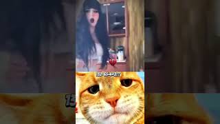 It was an accident 🤭🤭 #cat #memes #dance #trending Wealth