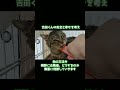 地域猫にするにも数m先にはロードキルの危険が…どうすればこの子たちは幸せになれるのか？#幸せのかたち