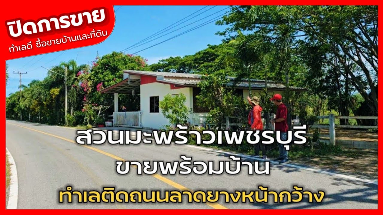 🔴 ปิดการขาย EP.2093 สวนมะพร้าวพร้อมเก็บผลผลิต ติดถนนลาดยาง ห้วยสาธารณะ  พร้อมบ้าน จ.เพชรบุรี