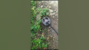 Rutus VERSA The  First coin unmasking part3