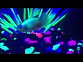 A close look at the Glo Betta