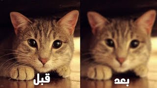 شرح التظليل و التشويش على الصور باستخدام الفوتوشوب بأكثر من طريقة screenshot 5