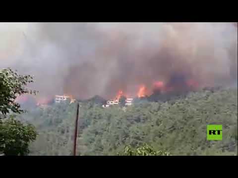 بالفيديو.. اندلاع حريق هائل في أحراج منطقة القبيات أقصى شمال لبنان
