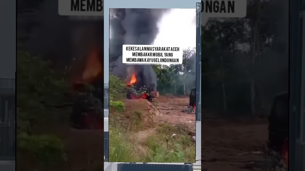 kayu gelondongan dib@kar massa 