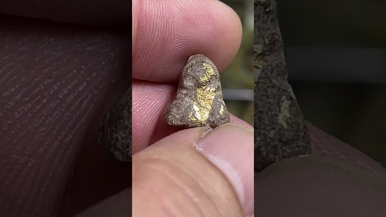 เรียนรู้พระเครื่องกับตี๋วัดไทร685