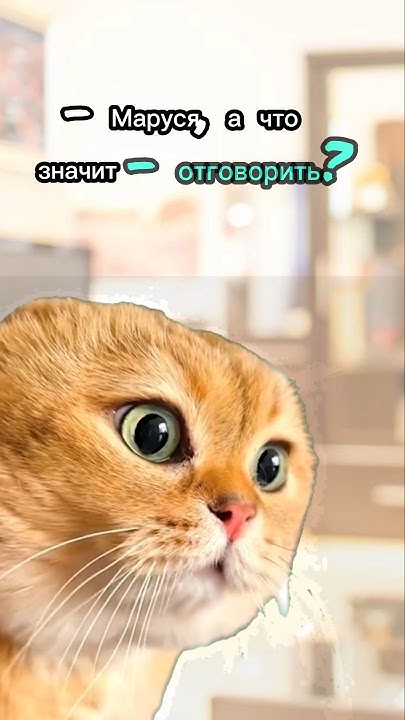 Про русский язык #мем#мемы#юмор#приколы#реки#врек - YouTube