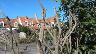 Hotel de la plage,Wissant