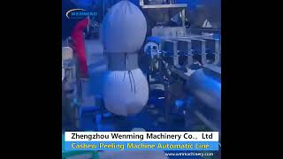 Cashew Peeling Machine Automatic Line #machine