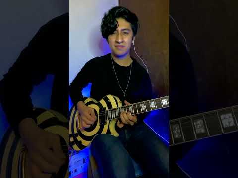 Farewell Ballad- Zakk