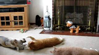 MVI_6765.AVI