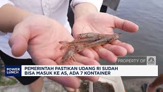 Pemerintah Pastikan Udang RI Sudah Bisa Masuk ke AS