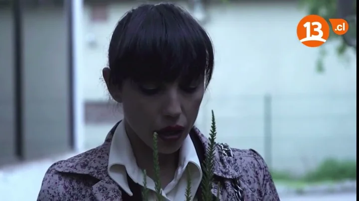 Luis Cerda (escenas serie Irreversible (cap 41)