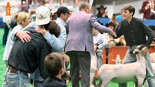 $450K Grand Champion Lamb selected at Houston Livestock Show and Rodeo's Jr. Market Grand Lamb Drive