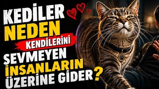Kediler Neden Kendilerini Sevmeyen İnsanların Üzerine Gider? %98'imizin Bilmediği Gizem