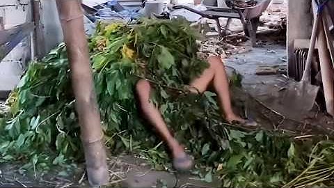 De domste mensen die falen in het leven | Idioten van de week | Probeer niet te lachen | Deel 143...