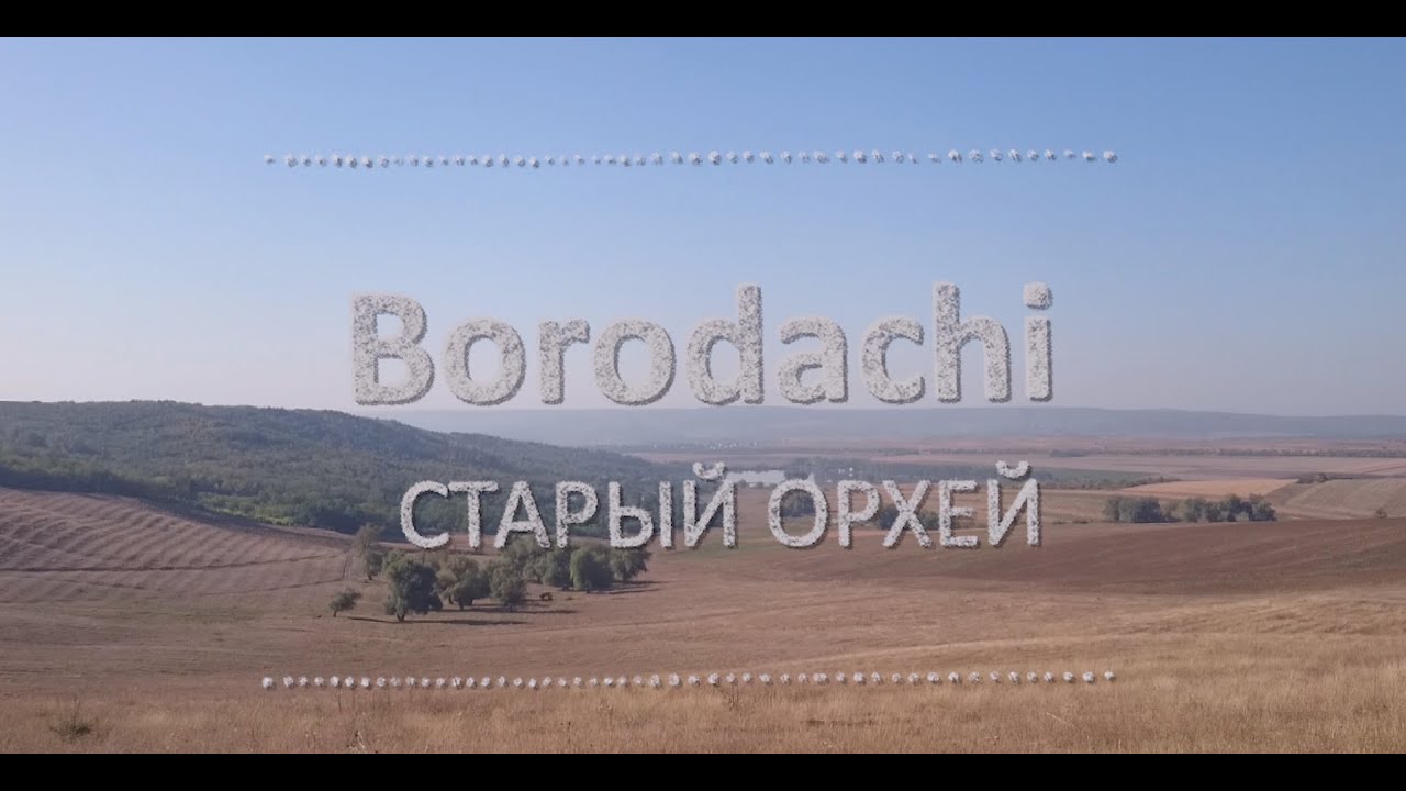  Borodachi YouTube