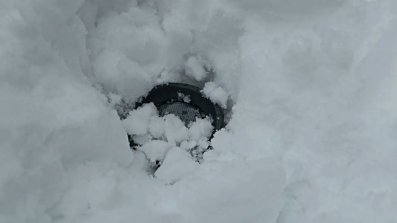 HardTekk в снегу (колонка JBL)